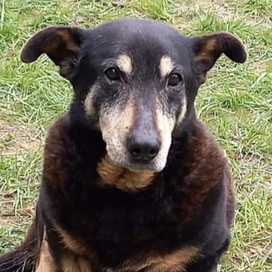 Some shitty news, some good news