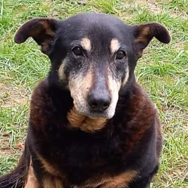 Some shitty news, some good news